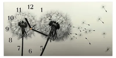 Produktbild von Wanduhr aus Glas mit Motiv Pusteblume Schwarz- 60 x 30 cm - inkl. Aufhängesystem