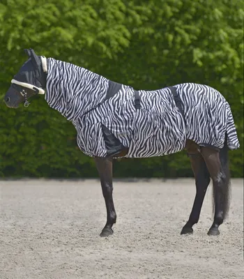 Produktbild von Waldhausen Ekzemdecke Zebra Pferdedecke 155 cm