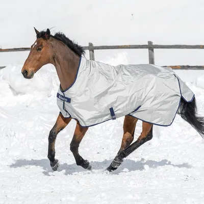 A horse wearing a silver turnout blanket runs through the snow.