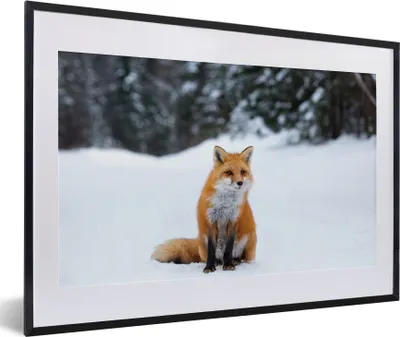 Produktbild von MuchoWow® MuchoWow® Gerahmtes Poster Fuchs - Schnee - Wald 60x40 cm - Poster mit zchwarzem Bilderrahmen - Schlafzimmer - Plakat in Rahmen - Drucken