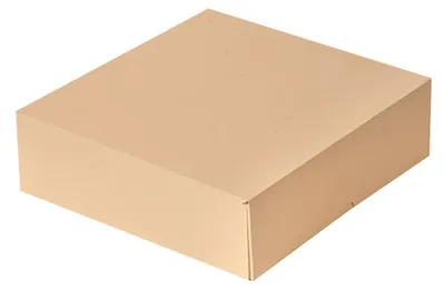 Produktbild von Set von 50 Biologisch Abbaubaren Schachteln ohne Fenster 23x23x7,5 cm