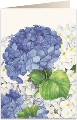 Immagine prodotto di Carnet B6 + busta 5549 Ortensia blu