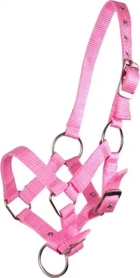 Produktbild von Fohlenhalfter Halfter Fohlen Nylonhalfter QHP 4 Fohlengrößen 6 Farben Farbe - rosa Größe - Pony Fohlen