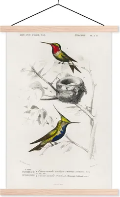 Produktbild von MuchoWow® Textilposter Vogel - Vintage - Zweig 40x60 cm mit holzfarbenen Rahmen - Poster