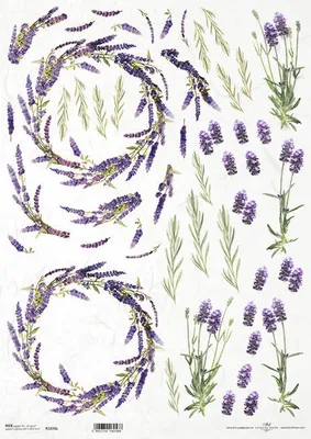 Immagine prodotto di Carta di riso per decoupage A3 ITD-11074L Lavanda