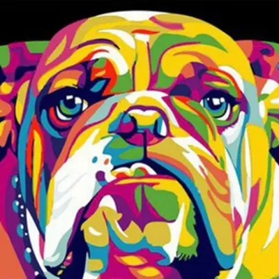 Obrázok produktu pre Obraz podľa čísel: Buldog, farebný, 50x40 cm, na ráme, kreatívny