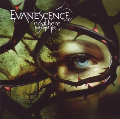 Produktbild von Evanescence-Anywhere But Home