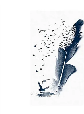 Produktbild von TPFLiving Kunstdruck LW-1711 (OHNE RAHMEN) Poster - Leinwand - Wandbild - Hochauflösender Giclée-Druck, langlebig und hochwertig - Botanisches Aquarell - Blaue Blüten und Blätter -  - Größe: 40x60cm