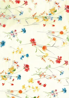 Produktbild von Clairefontaine 851 - Packung mit 20 Blatt 30 x 40 cm