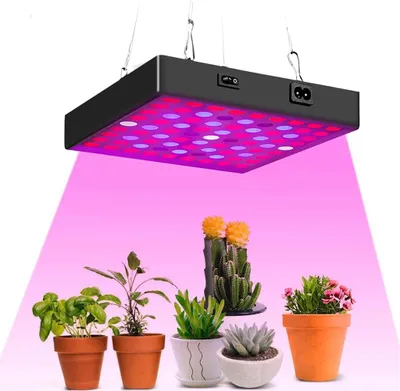 A grow light illuminates several potted plants, including basil, succulents, and cacti.