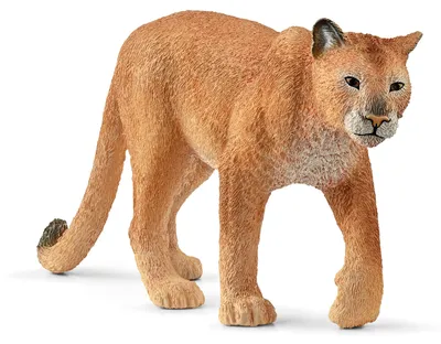 Productafbeelding van Schleich WILD LIFE 14835, 3+ jaar, Bos, Wilde dieren / avontuur speelgoed, Bruin, Kunststof