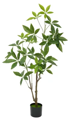 Produktbild von Kunstbaum "Geldbaum", 120 cm hoch, für Innen- und Außenbereich