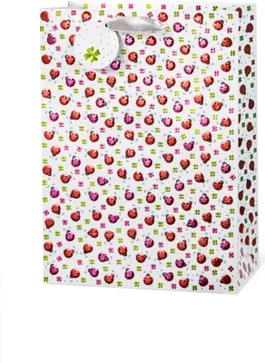 Produktbild von Geschenktüte Tasche groß A4-Format Glitzerkäfer Marienkäfer Kraftpapier Folienprägung
