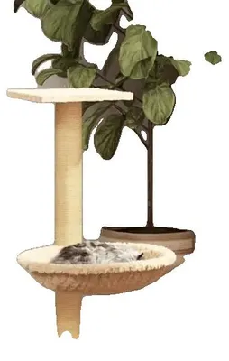 Produktbild von Katzenbaum, Sisal Kratzbaum, für den Innenbereich, Crème