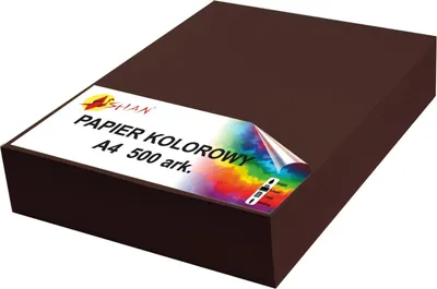 Image de Papier couleur A4 90g brun foncé v2 500 feuilles
