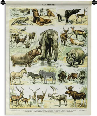 Produktbild von MuchoWow® Wandteppich Wandbehang Tiere - Elefanten - Hirsche 90x120 cm Tapisserie Dekoration Wandtuch - Wanddeko