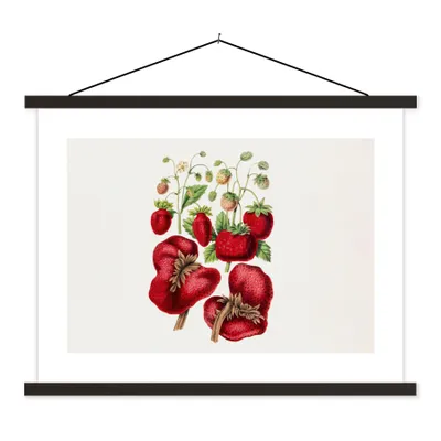 Produktbild von MuchoWow® Textilposter Erdbeere - Lebensmittel - Pflanze 150x113 cm mit holzfarbenen Rahmen - Poster