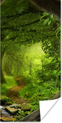 Produktbild von MuchoWow® Poster Dschungel - Grün - Natur - Tropisch - Pflanzen 20x40 cm - Plakat - Foto
