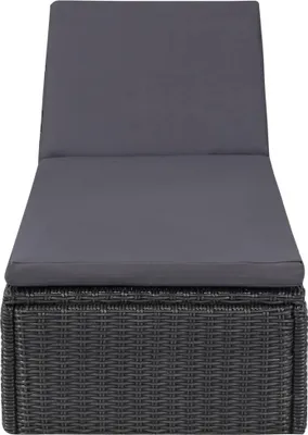 Obrázok produktu pre vidaXL Lehátko Poly Rattan Black and Dark Grey