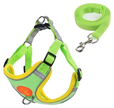Obrázok produktu pre Postroj pre psa, nastaviteľný, so reflexnými bezpečnostnými prvkami, zelený, veľkosť XL (10-14 kg)