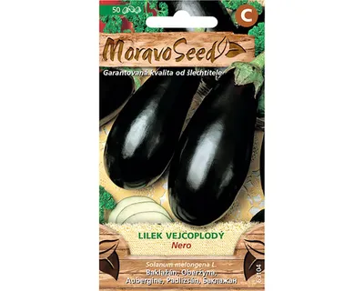 Image de Aubergine NERO pourpre MoravoSeed