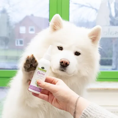 Produktbild von Vital Ohrenpflegelotion 100 ml Ohrentücher Hundeohren reinigt auf sanfte Weise