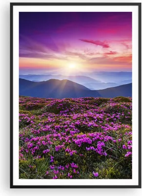 Produktbild von Gerahmtes Poster - Schwarzer Rahmen - Wiese Berg Himmel Landschaft - 70x100 cm - Wand Bild - Wanddeko - Wandbilder - Wandposter - Bilderrahmen - Bilder - Kunstdruck - Wandbild - P2BPA70x100-2719