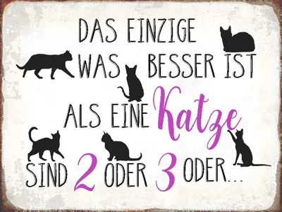 Produktbild von vianmo Holzschild 30x40 cm einzige was besser ist als Katze