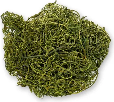Produktbild von Curly Moos Moosgrün, verpackt im Beutel mit 200g
