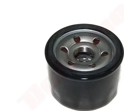 Immagine prodotto di Filtro olio per Mtd D66,7Xh54 3/4-16Unf ( 751-12690 )