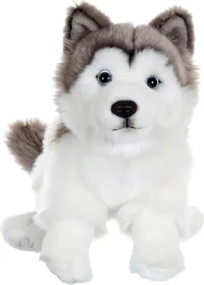 Image de Peluche Husky - assis, 25 cm