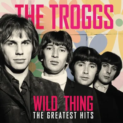 Produktbild von The Troggs: Wild Thing The Greatest Hits (1LP, 2022) Schallplatte