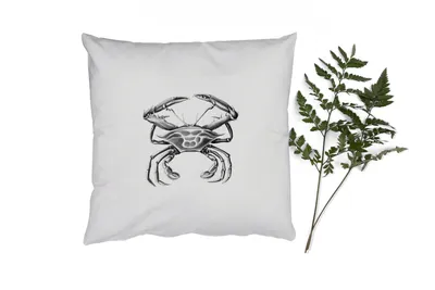 Produktbild von MuchoWow® Zierkissen Sofakissen Wohnzimmer Dekokissen 50x50 cm Ernst Haeckel - Jahrgang - Kunst - Krabbe - Komfort - Sofakissen
