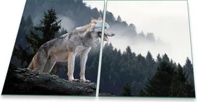 Produktbild von Herdabdeckplatte Glaskeramik 2-Teilig 2x40x52 Tiere Grau Abdeckung Spritzschutz Glas