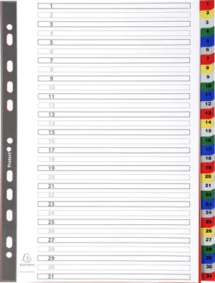 Image de Exacompta 20x Intercalaires imprimés numériques PP couleurs 31 pos A4 assort 93E