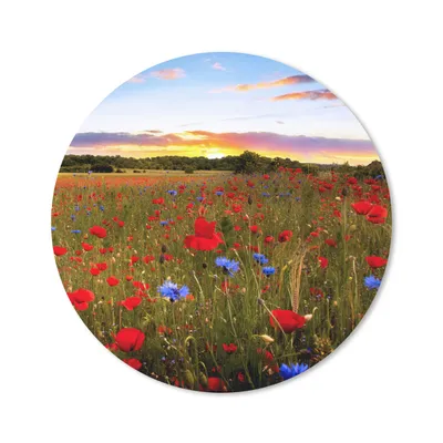 Produktbild von MuchoWow® Mauspad Mousepad Blumenwiese - Mohnblumen - Rot 40x40 cm - Mousepads - Maus Mat - Pad - Mausunterlage - Schreibtisch Accessoires