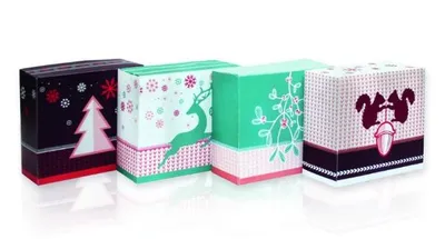 Produktbild von 24 Adventsboxen "Winterwald"