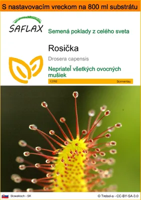 Obrázok produktu pre SAFLAX Garden in the bag - rosička - Drosera capensis - 200 Semená - S pestovateľským substrátom v praktickom samostaviteľnom vrecku