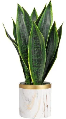 Image de Sansevieria artificielle en pot de céramique de 40 cm, petite plante d'intérieur artificielle