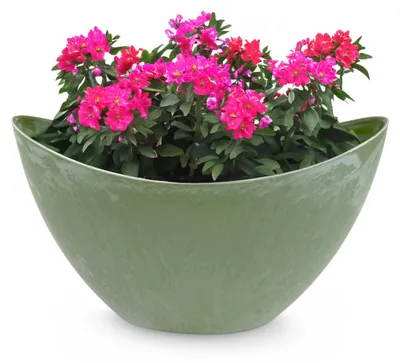 Produktbild von Hohe Pflanzschale oval Vintage oliv-grün 24 x 14 cm wetterfest