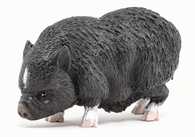 Produktbild von Papo Deutschland Hängebauchschwein     0