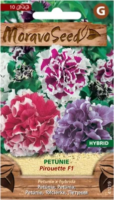 Zdjęcie produktu dla Petunia PIROUETTE F1 - hybryda 41219