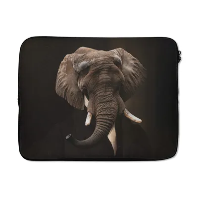 Obrázek produktu pro Pouzdro na notebook 17 palců Slon - Malba - Staří mistři Brašna na notebook