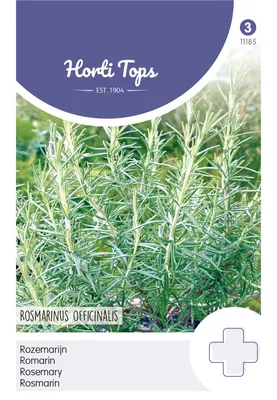 Produktbild von Rosmarin | Rosmarinsamen von Hortitops [MHD 07/2025]