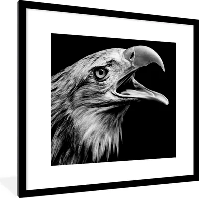 Produktbild von MuchoWow® Gerahmtes Poster Adler - Porträt - Raubvögel - Schwarz - Weiß - Vogel 40x40 cm - Poster mit Schwarzem Bilderrahmen Wandposter Rahmen Foto Bilder - Poster - Plakat im Rahmen