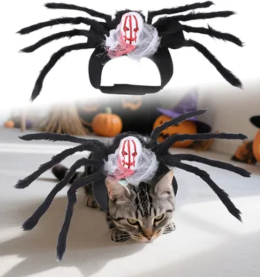 Produktbild von Halloween-Kostüme für Hunde und Katzen, Haustier, Cosplay, lustiges Spinnenkostüm, Halloween-Party-Kostüme für kleine und mittelgroße Hunde und Katzen