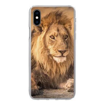 Produktbild von MuchoWow® Handyhülle Schutzhülle Hülle für iPhone Xs Löwe - Nahaufnahme - Savanne Silikon Softcase Handy Hülle - Handytasche