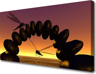 Produktbild von Tulup Leinwand-Bilder 100x50 Wandbild Canvas Kunstdruck Libellen Steine Kunst
