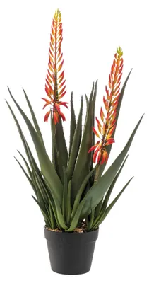 Produktbild von Emerald Künstliche Aloe - Paulina | 80 cm, für drinnen, Kunstpflanze, wie echt, Allergiker geeignet, pflanzliche Dekoration Praxis, Office & Wohnzimmer