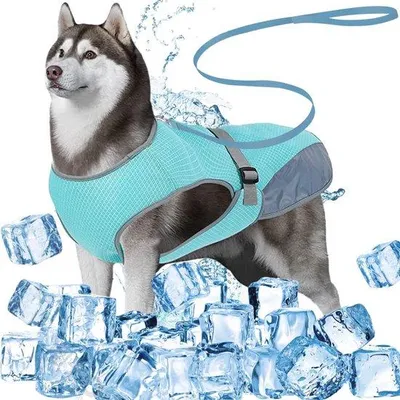 Produktbild von Dailygoods – Kühlweste für Hunde, atmungsaktiv – Wasserdichte Hundejacke – Hundeleine, 1,5 m – Sommer-Kühlweste – Kühljacke für mittelgroße/große Hunde – Maschinenwaschbar